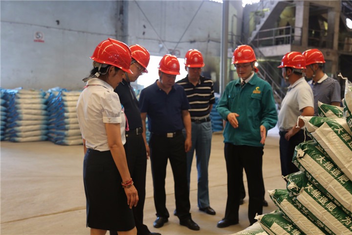 耿克明、、高建嵩到大维肥业等企业调研