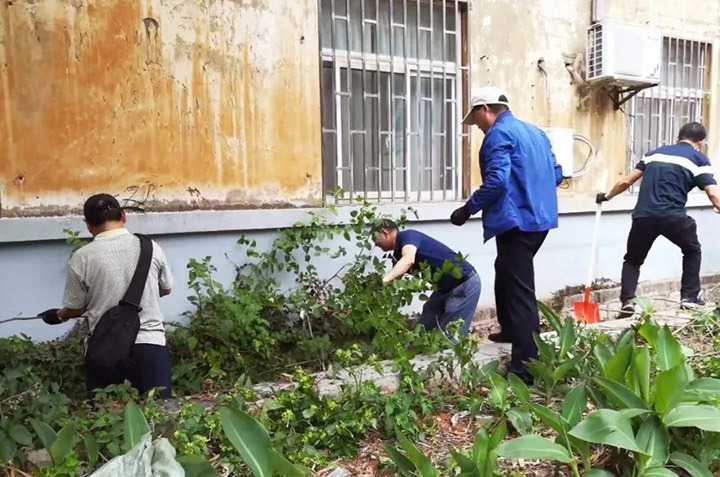 集团机关党委、老干党委开展党员自愿服务活动