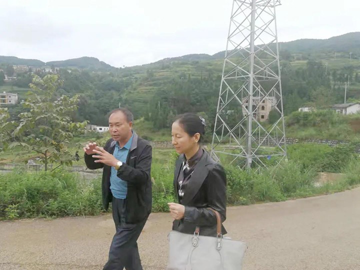 集团党委委员、财务总监莫晓丹一行到羊场口煤业温顺源煤矿开展煤矿项目建设事情专项调研