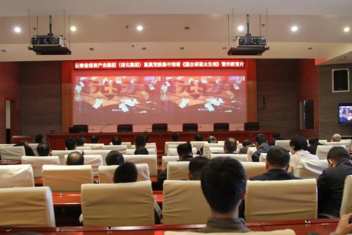 云煤（鸿运国际）集团直属党委组织寓目《国企硕鼠众生相》警示教育片