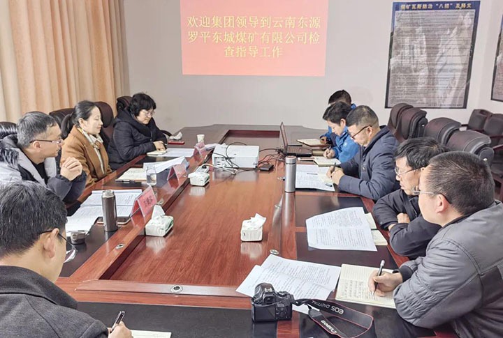 集团党委委员、财务总监莫晓丹一行赴罗平东城公司督导调研