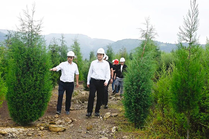 自然资源部矿产资源；；ぜ嗍铀臼褂眉嗍哟Ω贝Τに镉莱恍械较确婷阂档餮新躺笊浇ㄉ枋虑