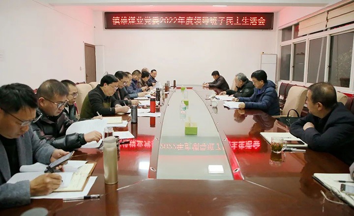 集团党委委员、副总司理施从伟到镇雄煤业公司指导年度民主生涯会