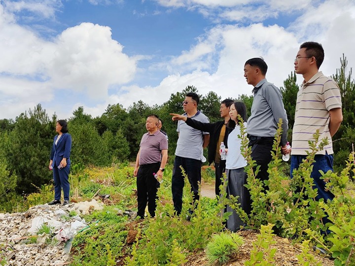 【主题教育】云煤（鸿运国际）集团专职外部董事寸延峰，，，集团党委委员、、、财务总监莫晓丹到马厂煤矿、、、汉家厂煤矿、、、竹麻地煤矿开展主题教育调研