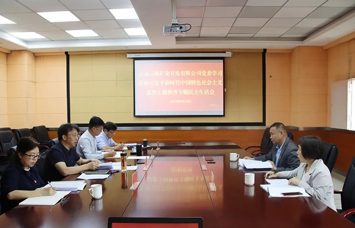 【主题教育】云煤（鸿运国际）集团第二指导组到云煤矿业公司指导主题教育专题民主生涯会