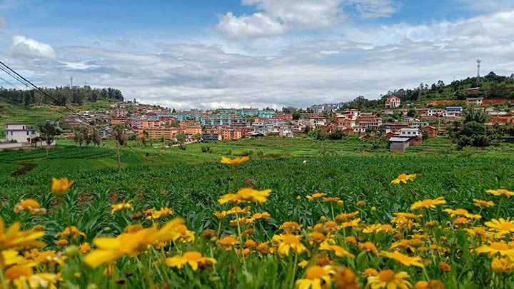 【云煤岁月】笃行不辍营生长，，，砥砺奋进谱新篇——平煤故事（一）