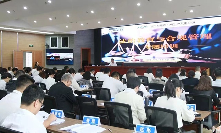 煤炭工业集团、能投集团联合举行2024年度法治教育与合规治理专题培训