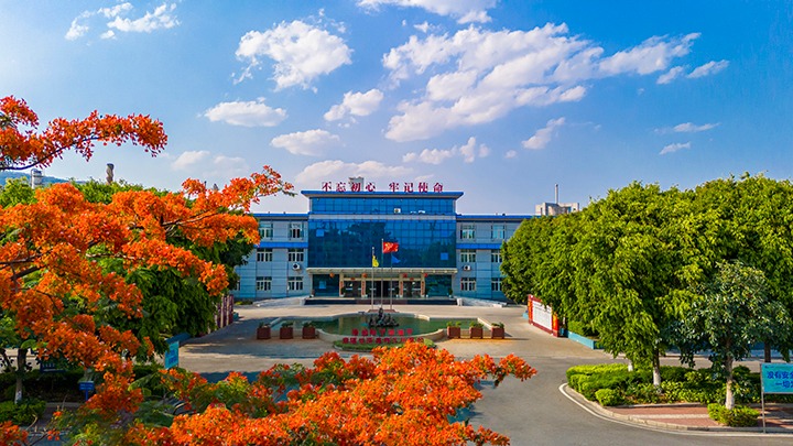 红色基由于引领，，磨练战场写华章  —— 汗水与智慧交织的磨练历程