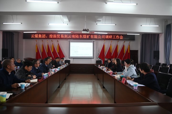 云煤集团党委委员、、、财务总监莫晓丹一行到陆东煤矿调研指导事情