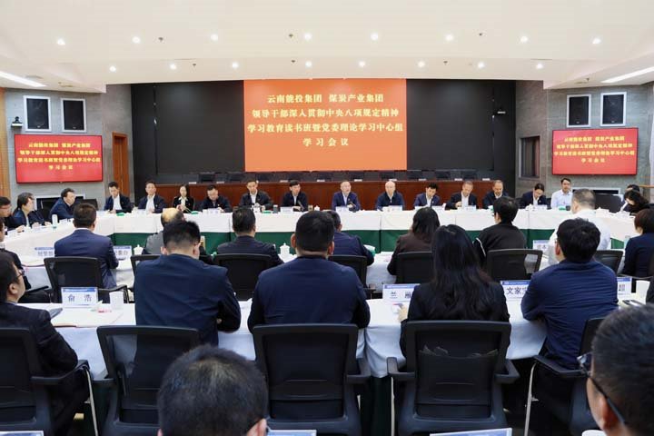 能投集团、、、煤炭工业集团向导干部深入贯彻中央八项划定精神学习教育念书班暨党委理论学习中心组举行集中学习